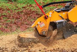 Best Stump Grinding and Removal  in Galesburg, IL